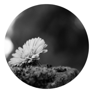 Individuel (2)